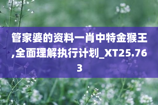 管家婆的资料一肖中特金猴王,全面理解执行计划_XT25.763