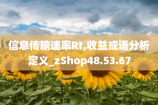 信息传输速率Rt,收益成语分析定义_zShop48.53.67