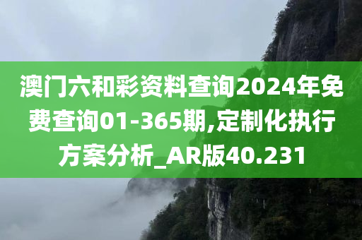 澳门六和彩资料查询2024年免费查询01-365期,定制化执行方案分析_AR版40.231