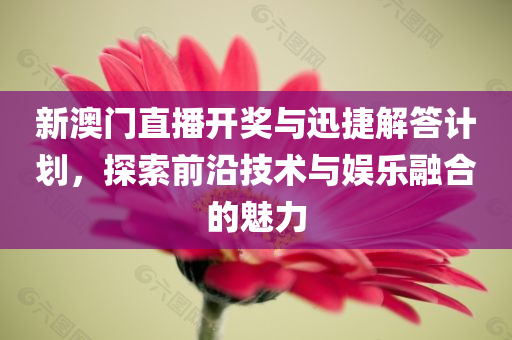 新澳门直播开奖与迅捷解答计划，探索前沿技术与娱乐融合的魅力