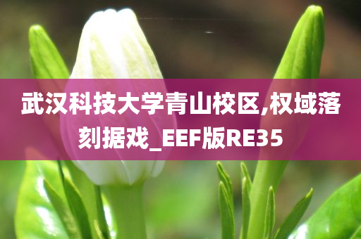 武汉科技大学青山校区,权域落刻据戏_EEF版RE35