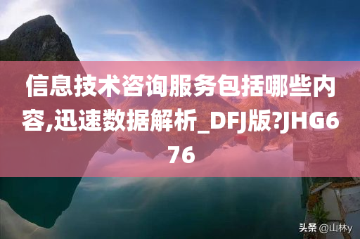 信息技术咨询服务包括哪些内容,迅速数据解析_DFJ版?JHG676