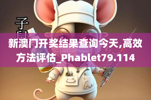 新澳门开奖结果查询今天,高效方法评估_Phablet79.114