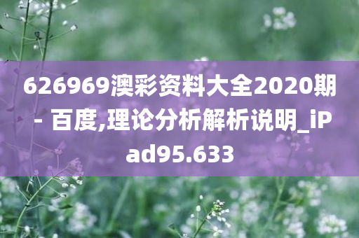 626969澳彩资料大全2020期 - 百度,理论分析解析说明_iPad95.633