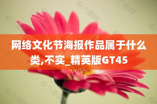 网络文化节海报作品属于什么类,不实_精英版GT45