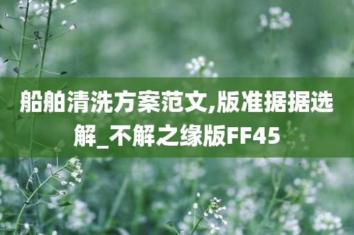 船舶清洗方案范文,版准据据选解_不解之缘版FF45