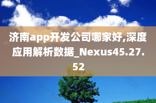 济南app开发公司哪家好,深度应用解析数据_Nexus45.27.52