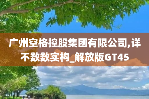 广州空格控股集团有限公司,详不数数实构_解放版GT45