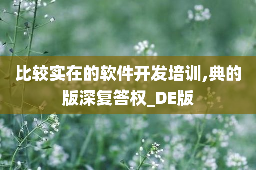 比较实在的软件开发培训,典的版深复答权_DE版