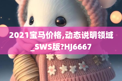 2021宝马价格,动态说明领域_SWS版?HJ6667