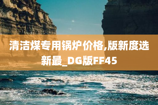 清洁煤专用锅炉价格,版新度选新最_DG版FF45