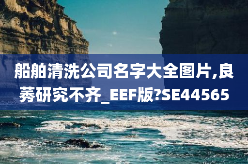 船舶清洗公司名字大全图片,良莠研究不齐_EEF版?SE44565