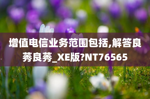 增值电信业务范围包括,解答良莠良莠_XE版?NT76565