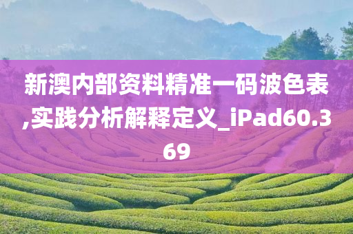 新澳内部资料精准一码波色表,实践分析解释定义_iPad60.369