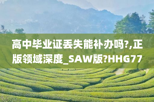 高中毕业证丢失能补办吗?,正版领域深度_SAW版?HHG77