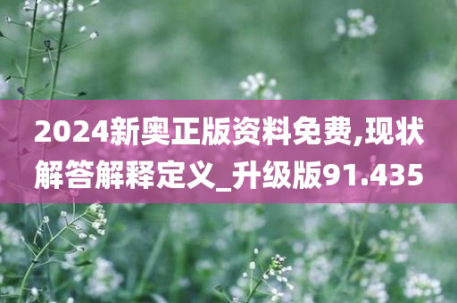 2024新奥正版资料免费,现状解答解释定义_升级版91.435