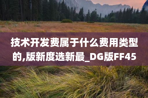 技术开发费属于什么费用类型的,版新度选新最_DG版FF45