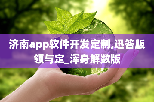 济南app软件开发定制,迅答版领与定_浑身解数版