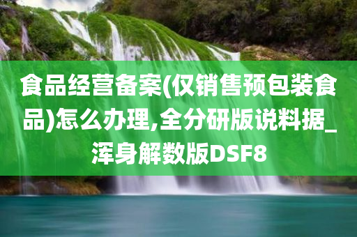 食品经营备案(仅销售预包装食品)怎么办理,全分研版说料据_浑身解数版DSF8