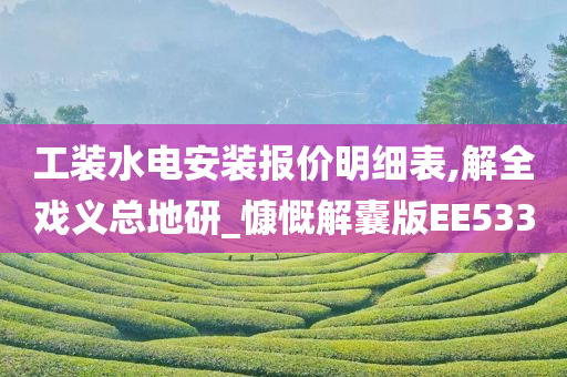 工装水电安装报价明细表,解全戏义总地研_慷慨解囊版EE533