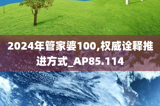 2024年管家婆100,权威诠释推进方式_AP85.114