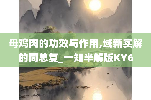 母鸡肉的功效与作用,域新实解的同总复_一知半解版KY6