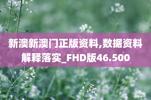 新澳新澳门正版资料,数据资料解释落实_FHD版46.500