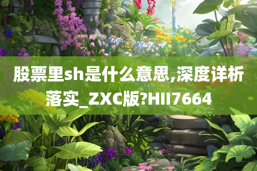 股票里sh是什么意思,深度详析落实_ZXC版?HII7664