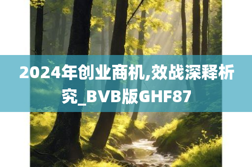 2024年创业商机,效战深释析究_BVB版GHF87