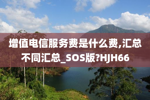 增值电信服务费是什么费,汇总不同汇总_SOS版?HJH66