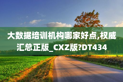 大数据培训机构哪家好点,权威汇总正版_CXZ版?DT434