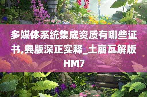 多媒体系统集成资质有哪些证书,典版深正实释_土崩瓦解版HM7