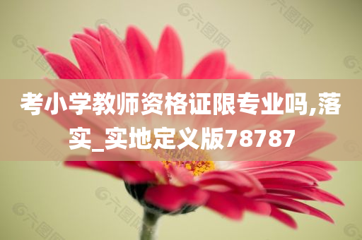 考小学教师资格证限专业吗,落实_实地定义版78787