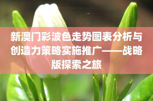 新澳门彩波色走势图表分析与创造力策略实施推广——战略版探索之旅