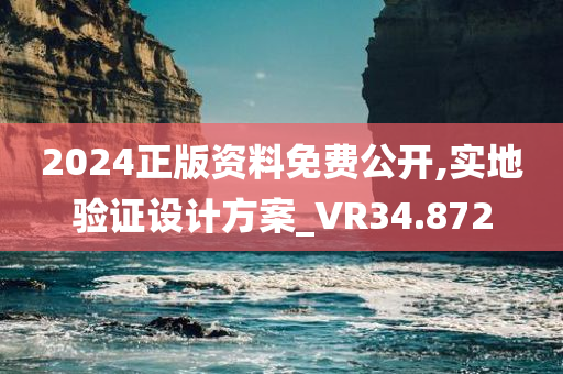 2024正版资料免费公开,实地验证设计方案_VR34.872