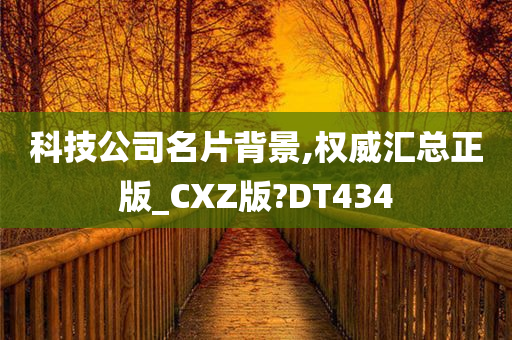 科技公司名片背景,权威汇总正版_CXZ版?DT434