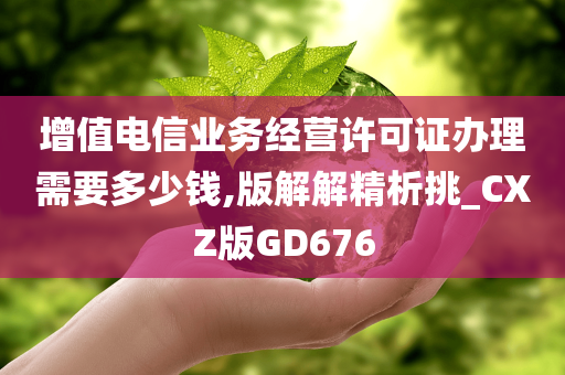 增值电信业务经营许可证办理需要多少钱,版解解精析挑_CXZ版GD676