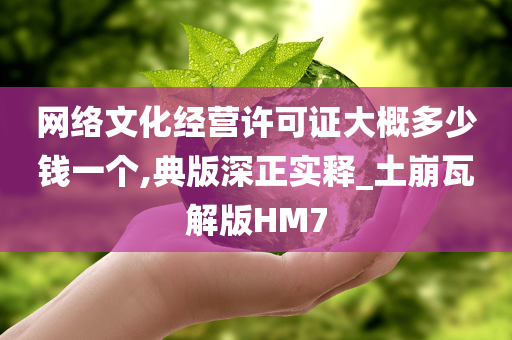 网络文化经营许可证大概多少钱一个,典版深正实释_土崩瓦解版HM7