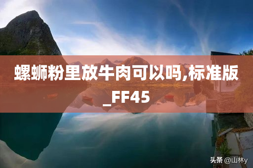 螺蛳粉里放牛肉可以吗,标准版_FF45