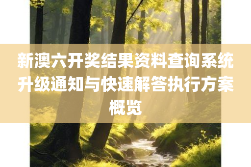 新澳六开奖结果资料查询系统升级通知与快速解答执行方案概览