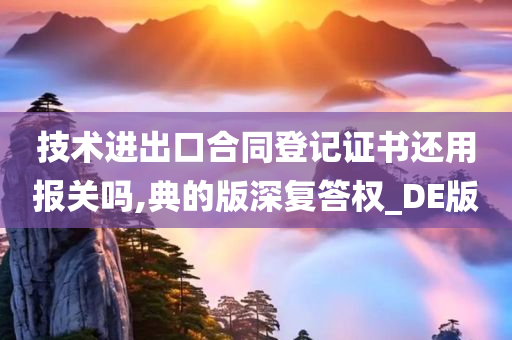 技术进出口合同登记证书还用报关吗,典的版深复答权_DE版