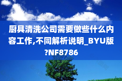 厨具清洗公司需要做些什么内容工作,不同解析说明_BYU版?NF8786