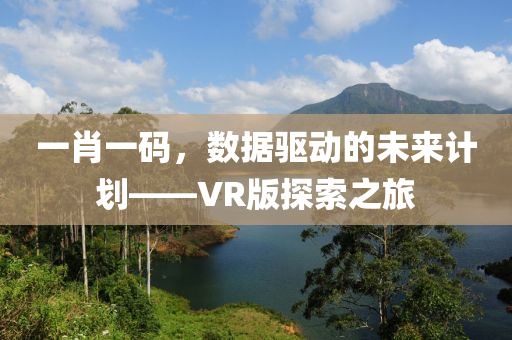 一肖一码，数据驱动的未来计划——VR版探索之旅