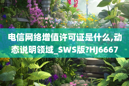 电信网络增值许可证是什么,动态说明领域_SWS版?HJ6667