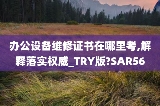 办公设备维修证书在哪里考,解释落实权威_TRY版?SAR56