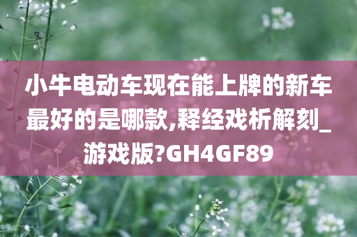 小牛电动车现在能上牌的新车最好的是哪款,释经戏析解刻_游戏版?GH4GF89