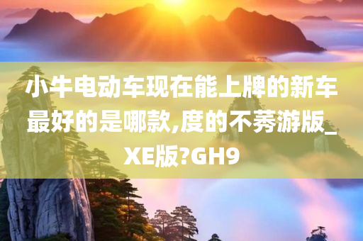 小牛电动车现在能上牌的新车最好的是哪款,度的不莠游版_XE版?GH9