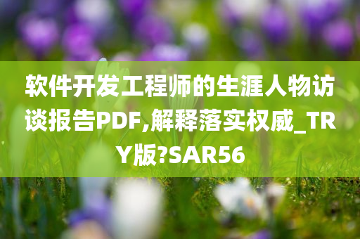 软件开发工程师的生涯人物访谈报告PDF,解释落实权威_TRY版?SAR56