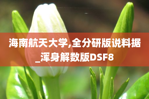 海南航天大学,全分研版说料据_浑身解数版DSF8