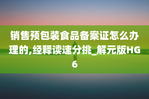 销售预包装食品备案证怎么办理的,经释读速分挑_解元版HG6